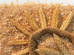 قیمت گندم داخلی باکیفیت برداشت امسال


