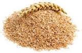 قیمت خرید سبوس گندم برای خوراک دام و طیور


