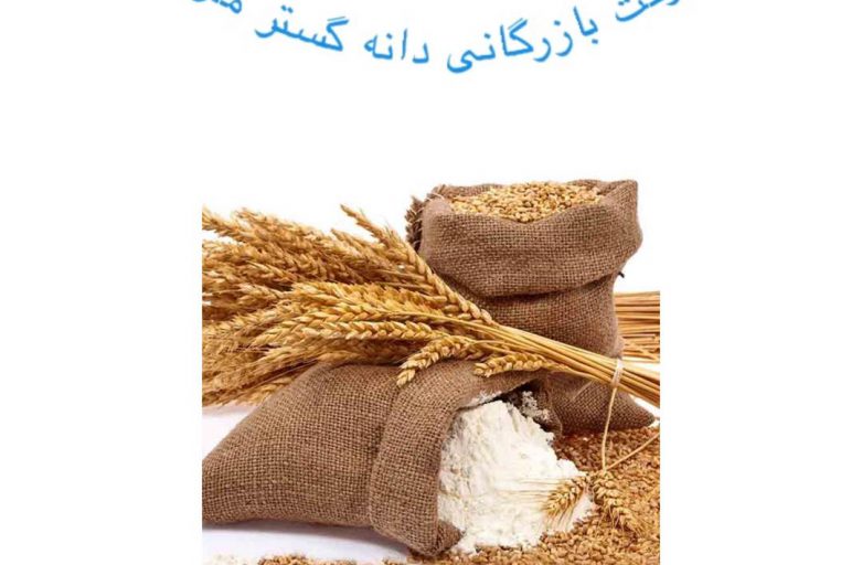 سبوس برنج دامی چگونه تولید می شود